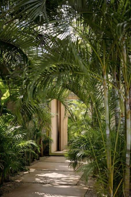 טולום Casa Areca, Awarded Architectural Villa Located In A Secured Gated Community, With Concierge Services מראה חיצוני תמונה